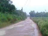 Lititz, St. Elizabeth, Jamaica - Commercial/farm land for Sale